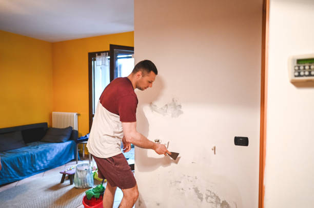 Best Commercial Mold Remediation in Progress Village, FL